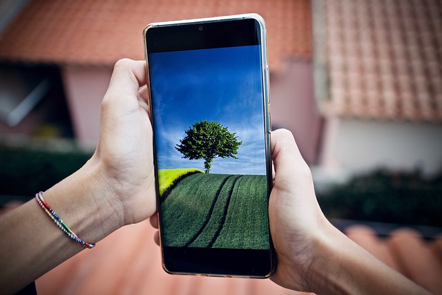 2. Telefonun ile Akıllı Telefon Alırken Dikkat Edilmesi Gerekenler 2. Telefonun ile Akıllı Telefon Alırken Dikkat Edilmesi Gerekenler